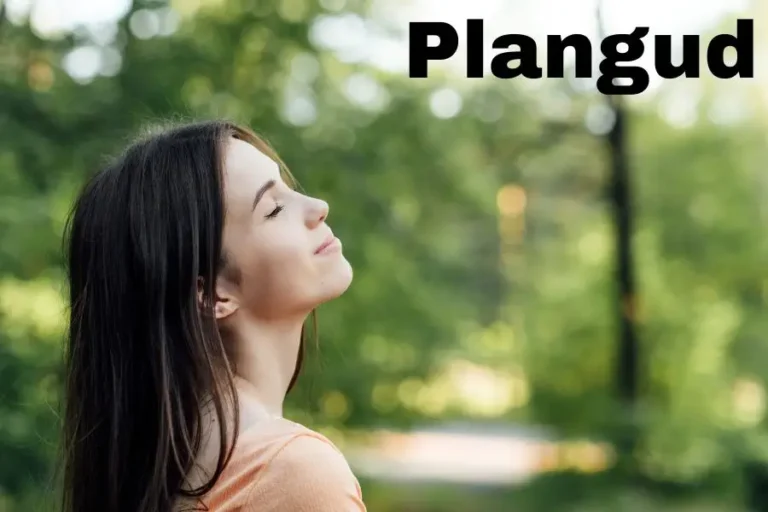 Plangud